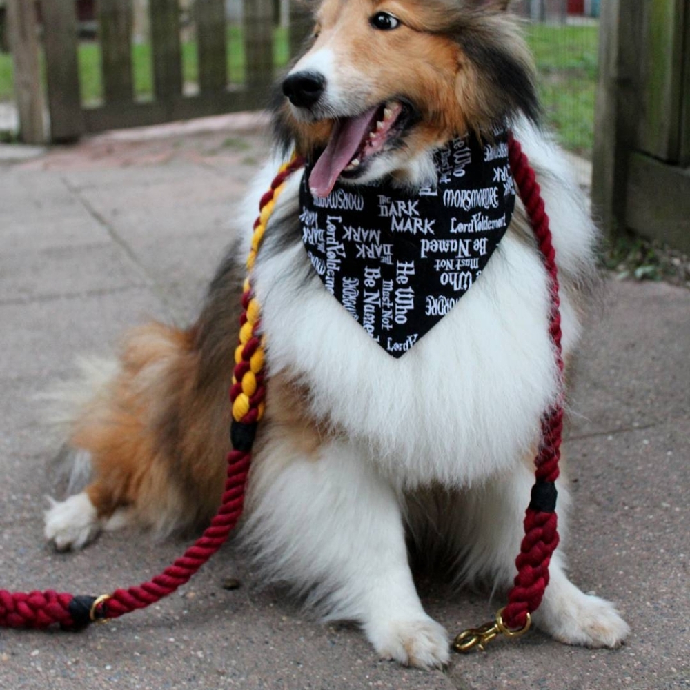 Gryffindor Harbour Hound Red & Yellow Rope Leash